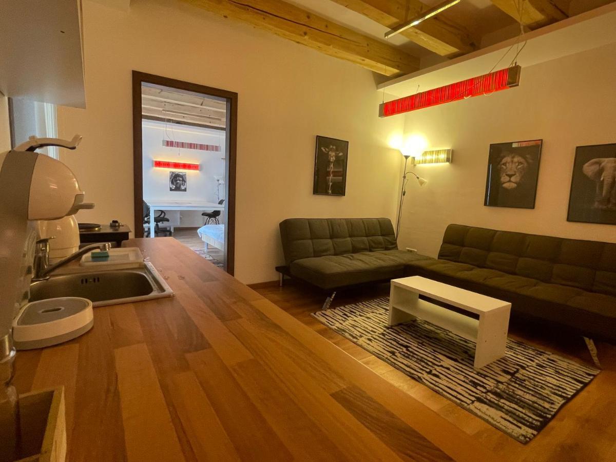 Savoya4 Old City Center Self Checkin Workspacestudio 蒂米什瓦拉 外观 照片